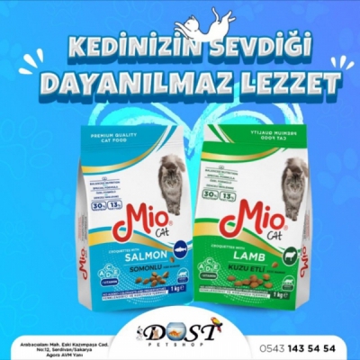 Sosyal Medya Paylaşımları