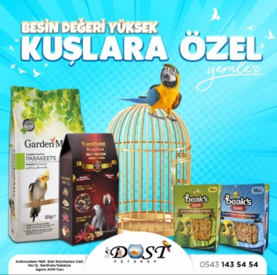 Sosyal Medya Paylaşımları