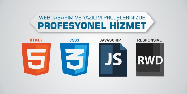 Başpınar Web Tasarım Firması